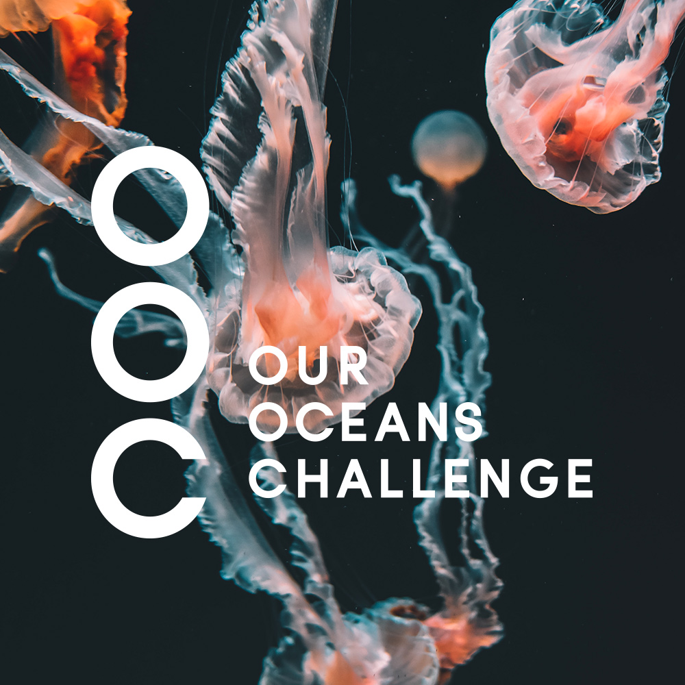Branding logo huisstijl creatieve campagne grafisch design website social - Our Oceans Challenge door merkversterkend reclamebureau Activates uit Sassenheim Teylingen Bollenstreek