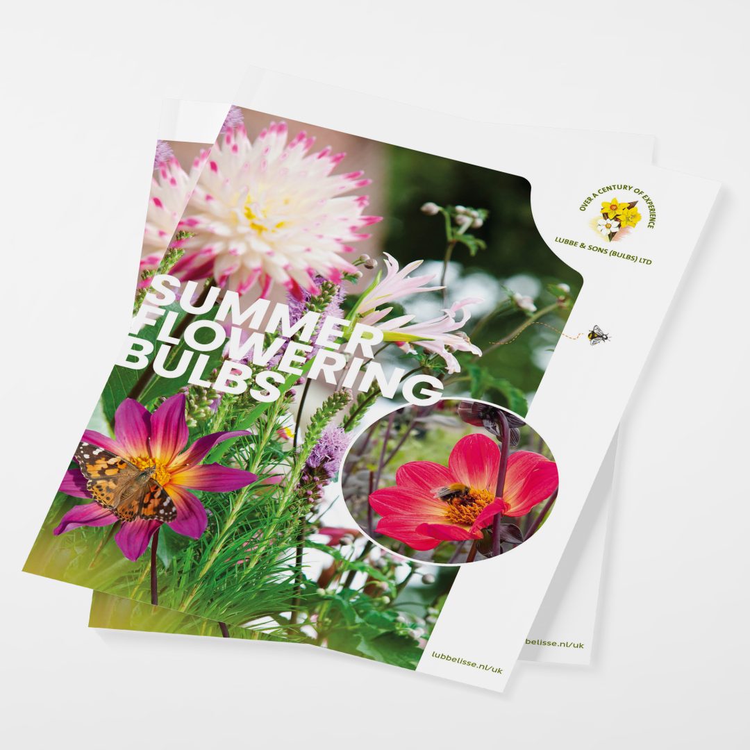 Branding logo huisstijl promotie flyer folder brochure stand event beurs design Lubbe Lisse uit Lisse door merkversterkend reclamebureau Activates uit Sassenheim Teylingen Bollenstreek