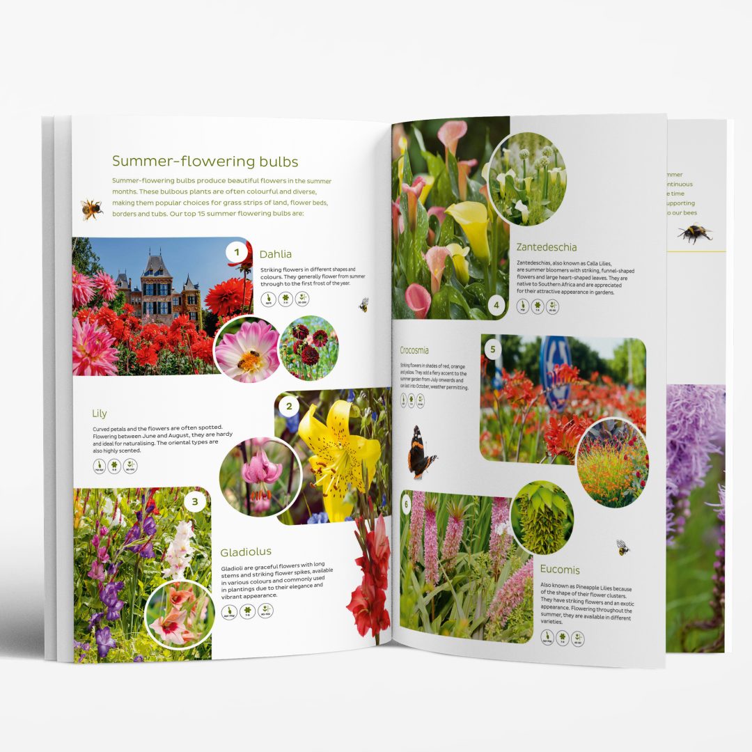 Branding logo huisstijl promotie flyer folder brochure stand event beurs design Lubbe Lisse uit Lisse door merkversterkend reclamebureau Activates uit Sassenheim Teylingen Bollenstreek