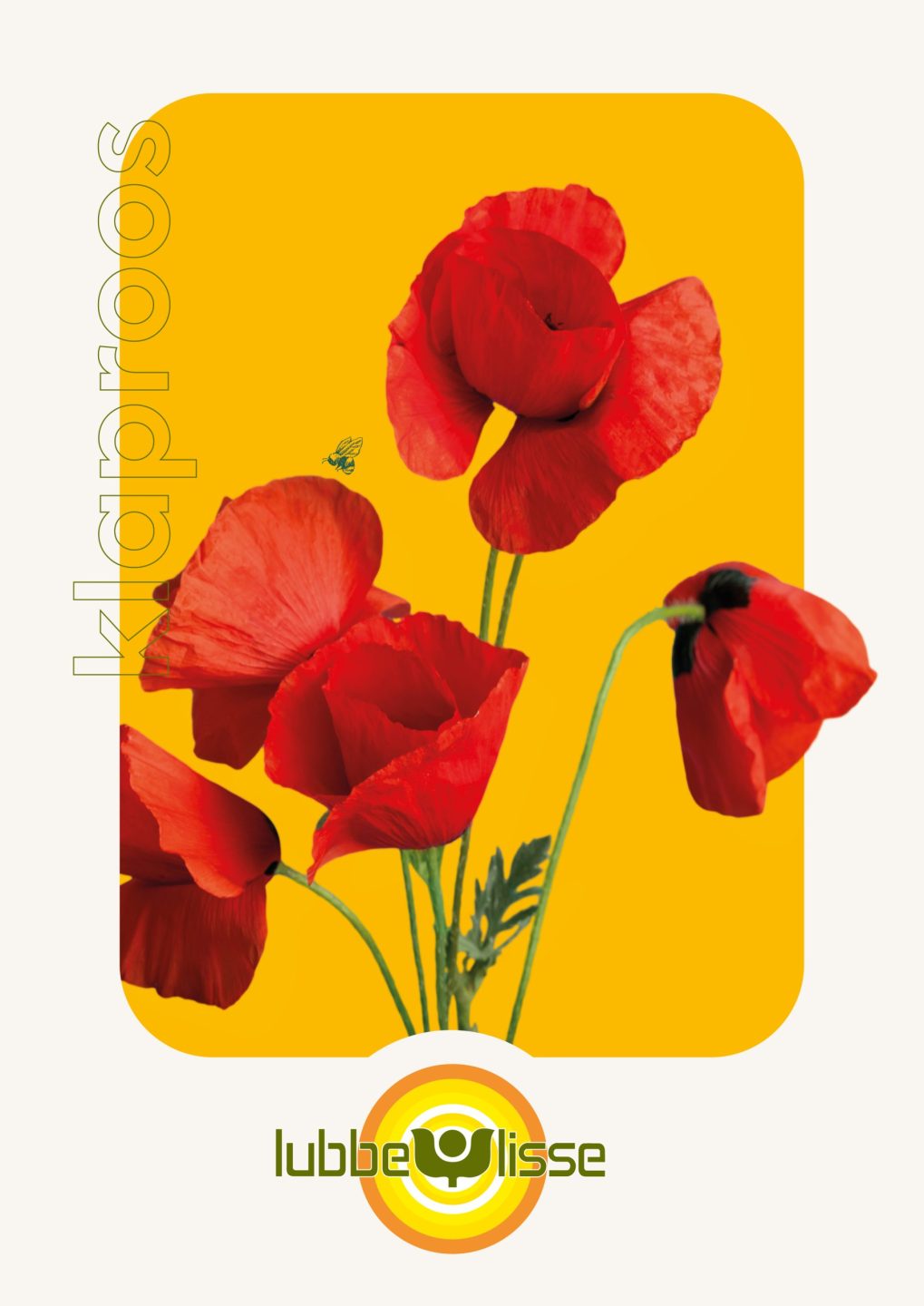 Branding logo huisstijl promotie flyer folder brochure stand event beurs design Lubbe Lisse uit Lisse door merkversterkend reclamebureau Activates uit Sassenheim Teylingen Bollenstreek