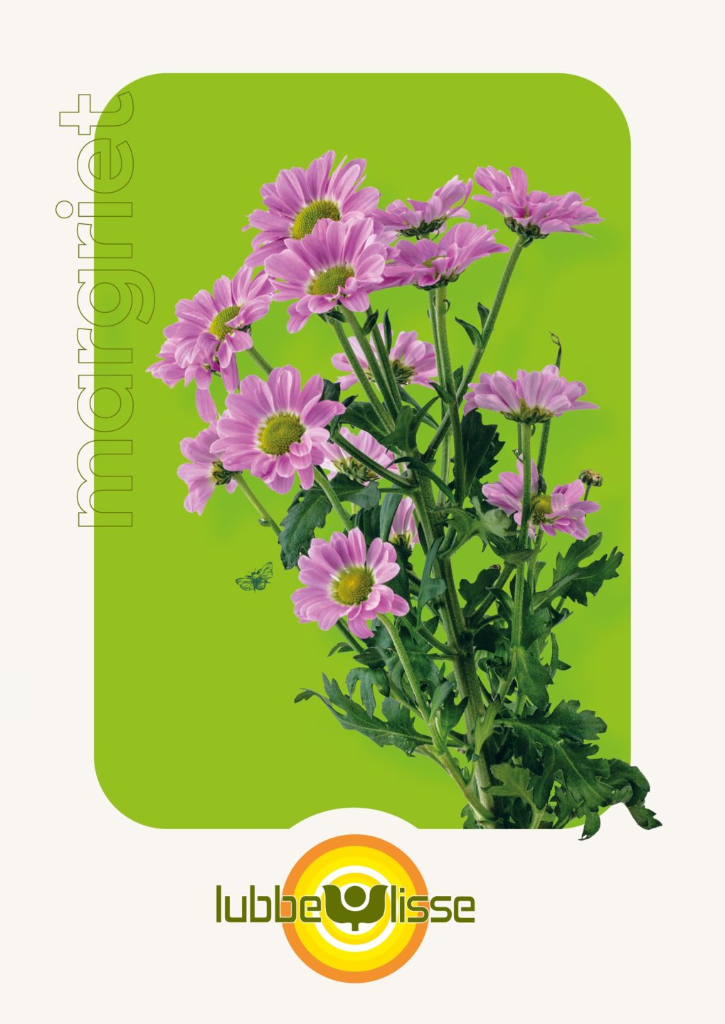 Branding logo huisstijl promotie flyer folder brochure stand event beurs design Lubbe Lisse uit Lisse door merkversterkend reclamebureau Activates uit Sassenheim Teylingen Bollenstreek