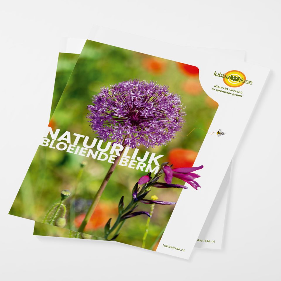 Branding logo huisstijl promotie flyer folder brochure stand event beurs design Lubbe Lisse uit Lisse door merkversterkend reclamebureau Activates uit Sassenheim Teylingen Bollenstreek