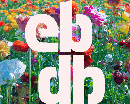 Online website EBDB concept - online rebranding en website design - door merkversterkend reclamebureau Activates uit Sassenheim Teylingen Bollenstreek samen met Mikka websites uit Heemstede